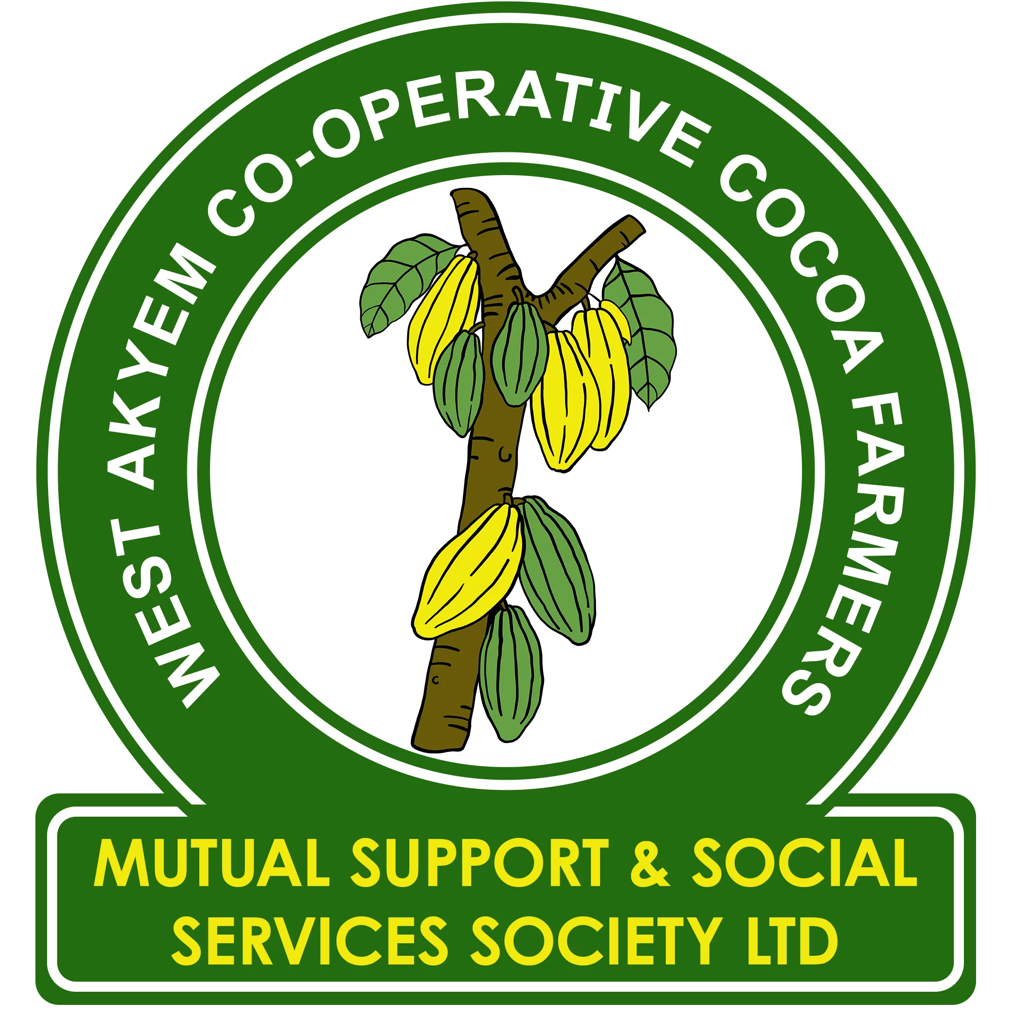 West Akyem Cocoa Mutual Support | Financial and Social Service For Cocoa Farmers in Rural Ghana